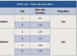 Đi Du Học Hàn Cần Topik Mấy