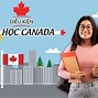 Điều Kiện Du Học Định Cư Tại Canada Cần Điều Kiện Gì Không Ạ