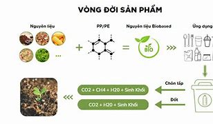 Huỷ Sinh Trắc Học